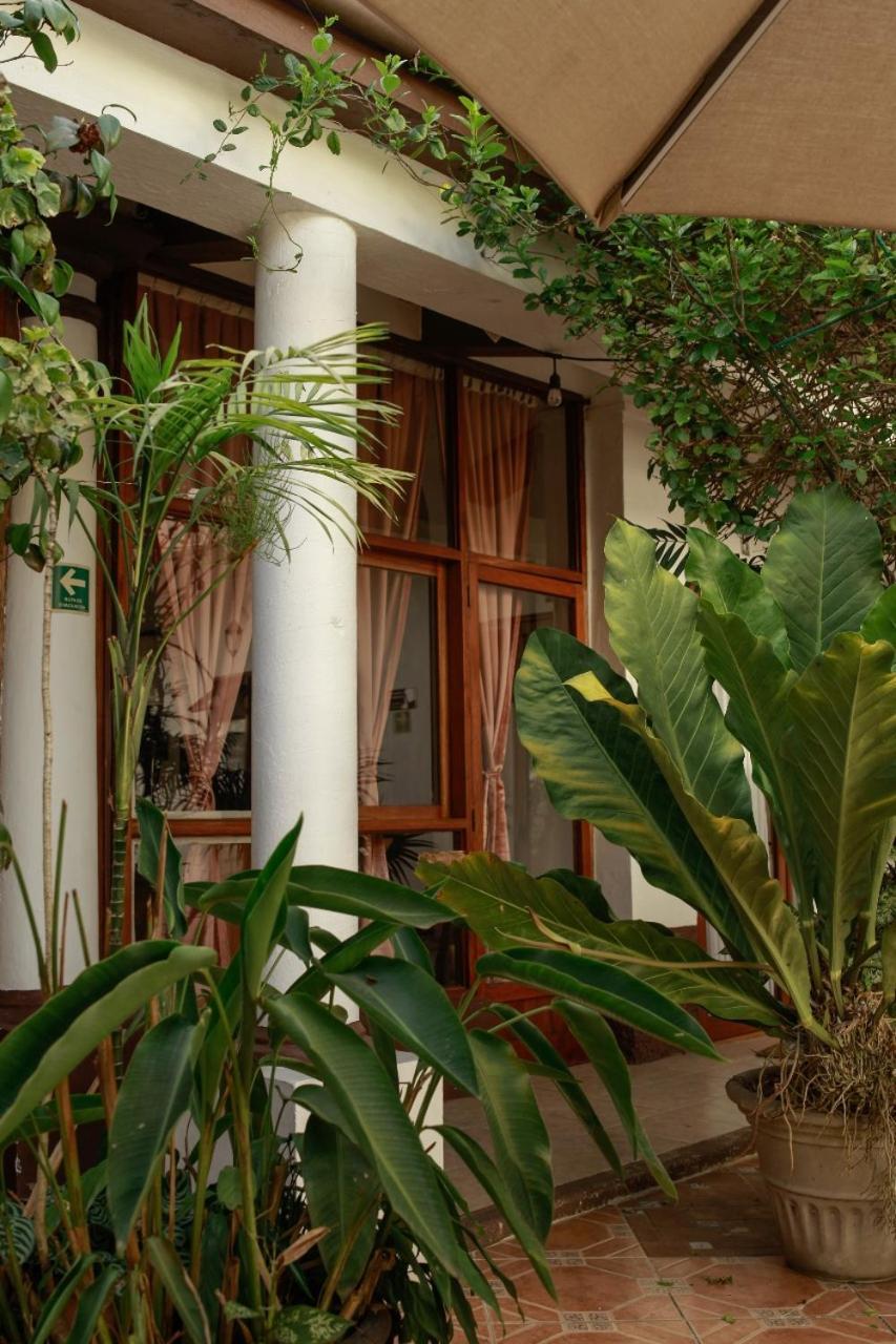 Posada Galeria Alberto Sedas Huatusco Exterior foto